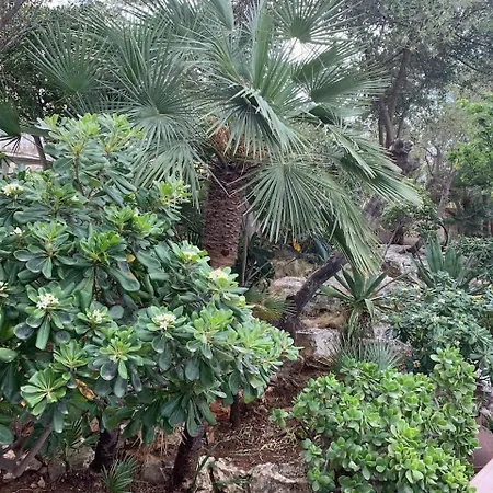 Jamaica Apartman